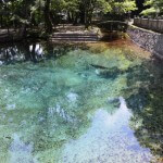 別府弁天池湧水 - 山口県美祢市秋芳町