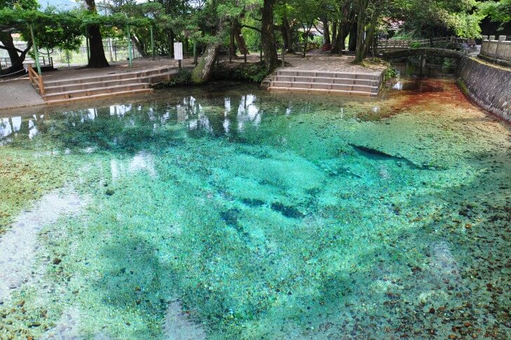 別府弁天池湧水-名水の由来