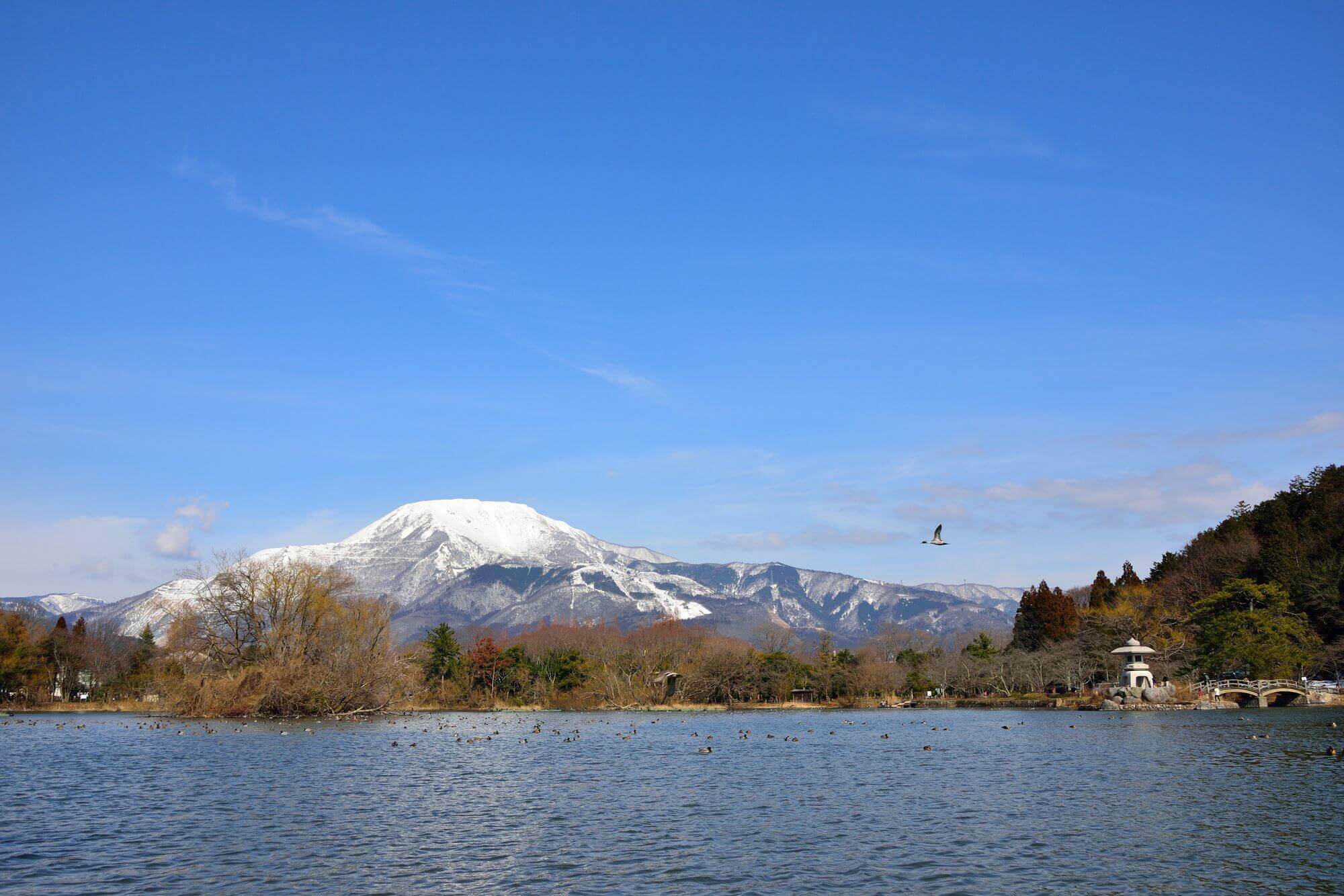 泉神社湧水 - 滋賀県米原市大清水