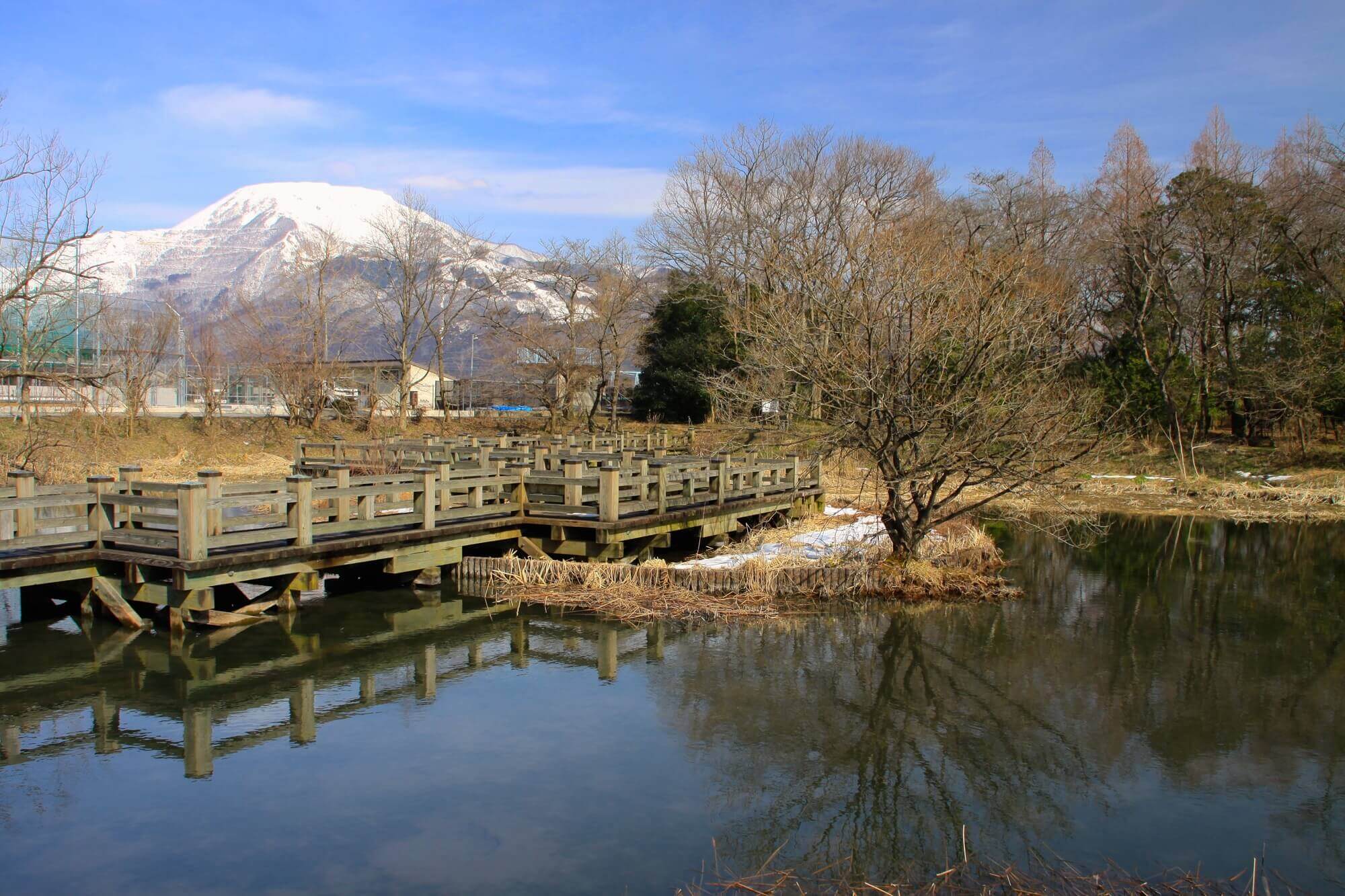 泉神社湧水-ミネラル含有量と味わい