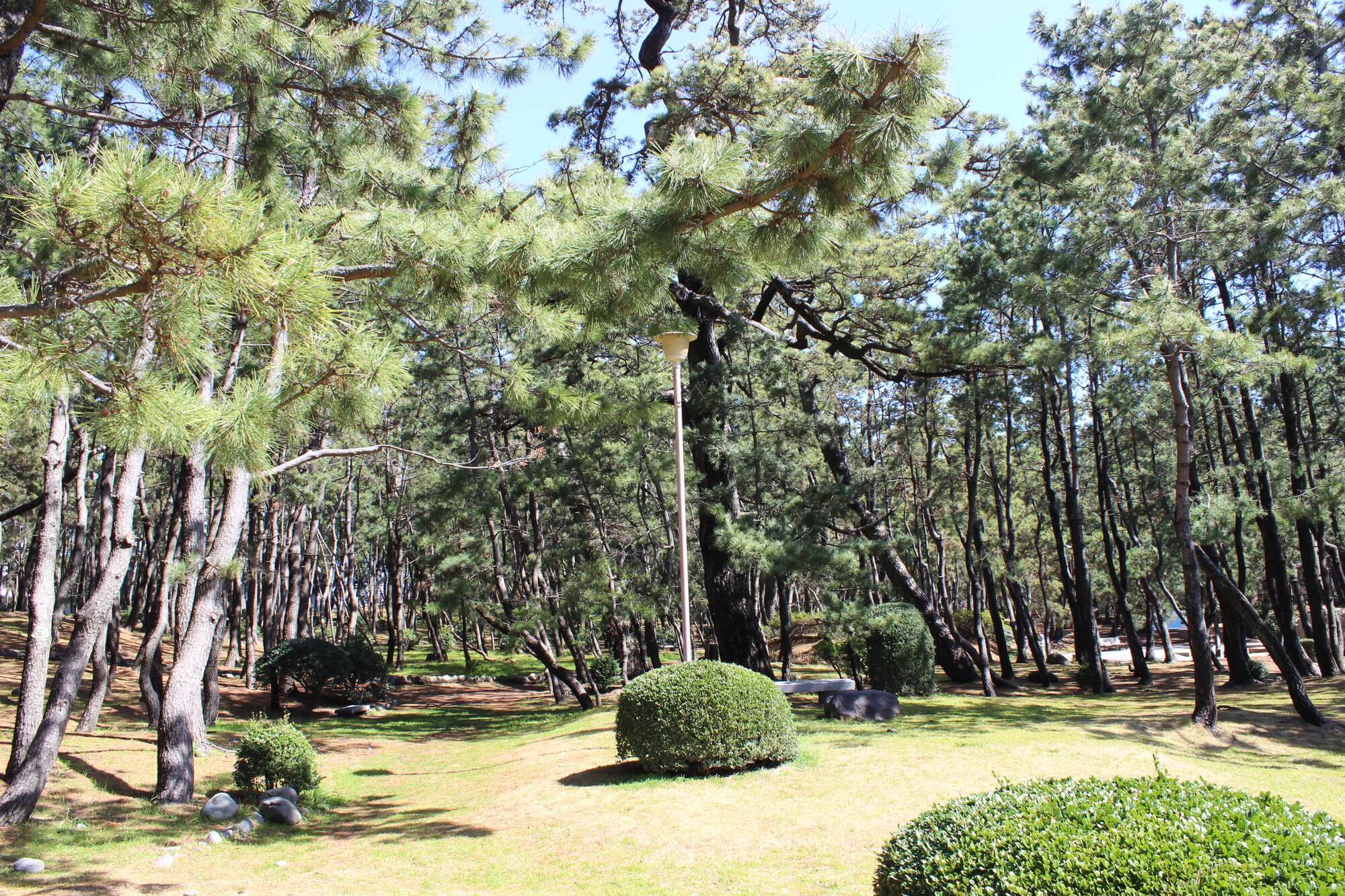 柿田川湧水群-採水地周辺の観光地