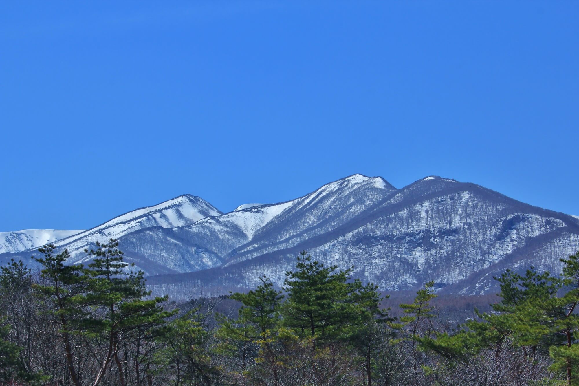 桂葉清水 名水の由来