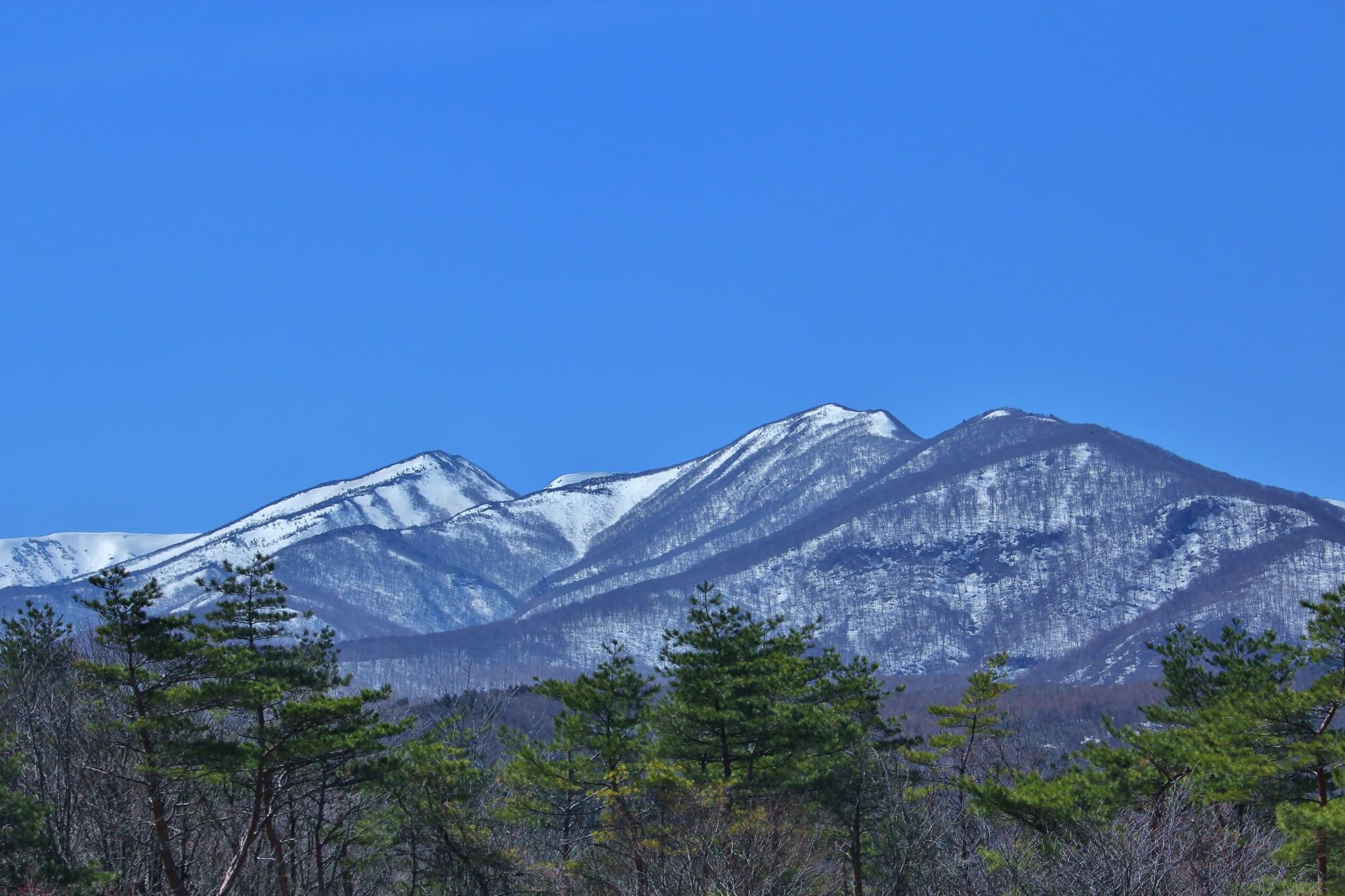 桂葉清水 名水の由来