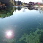 霧島山麓丸池湧水 - 鹿児島県姶良郡湧水町木場