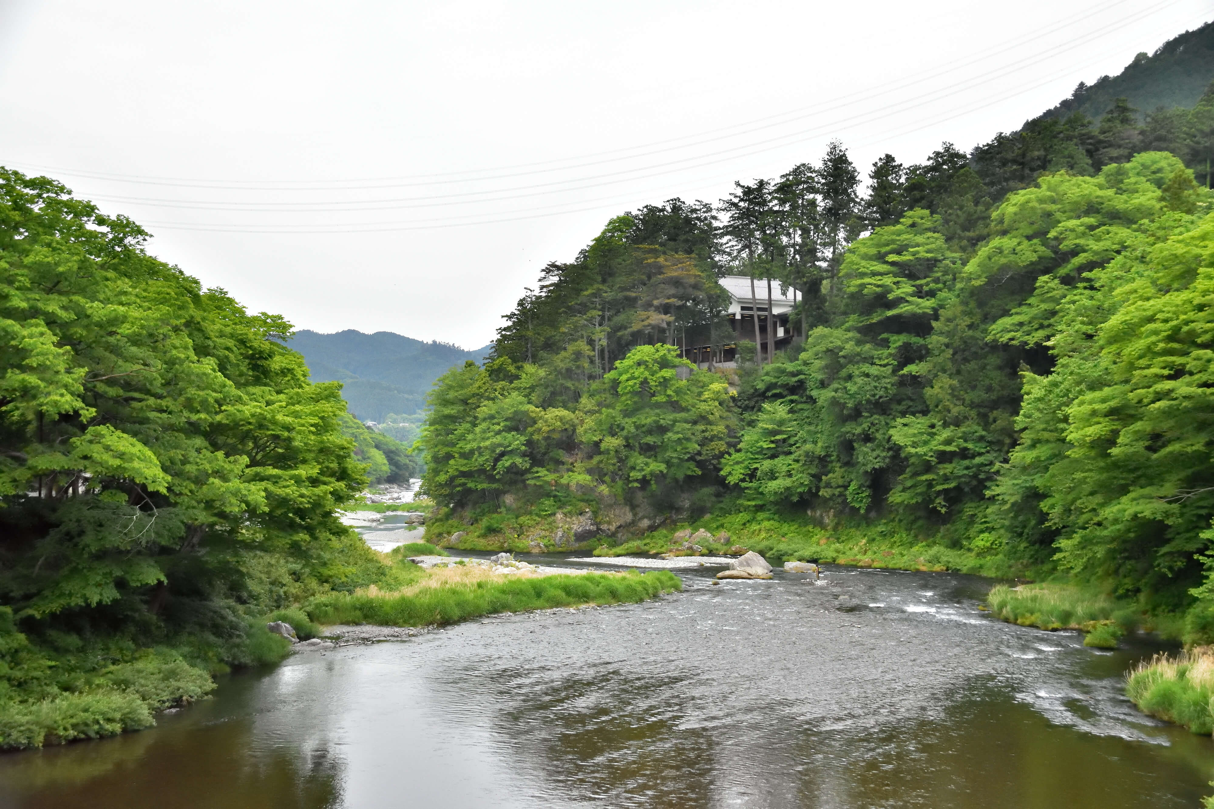 御岳渓谷 ミネラル含有量と味わい