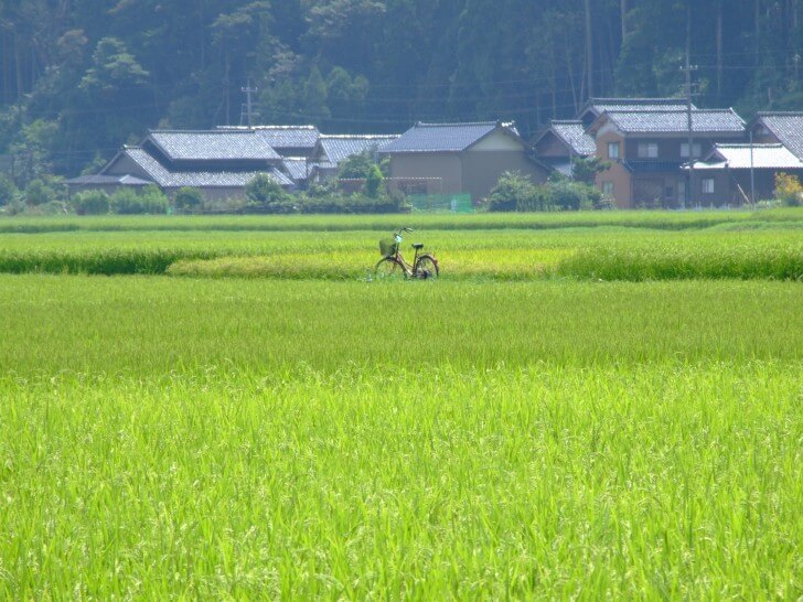 御手洗池-ミネラル含有量と味わい