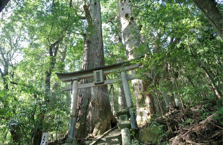 野中の清水-採水地周辺の観光地