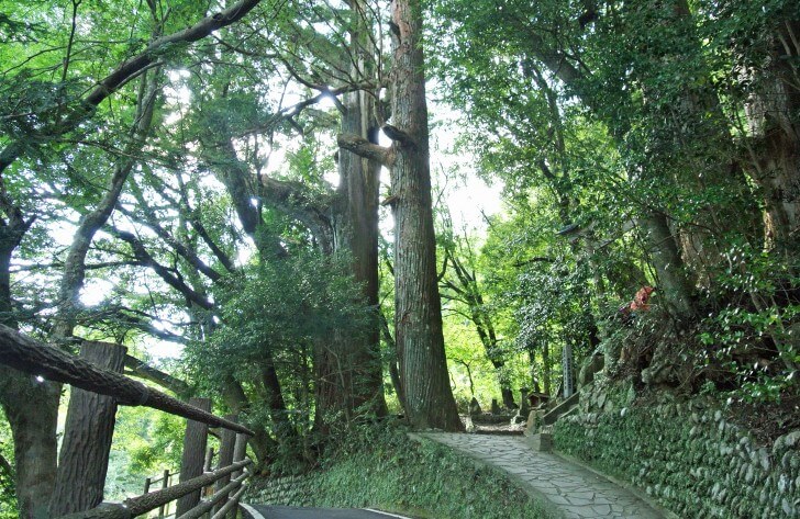 野中の清水-名水の由来