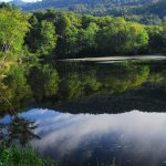 小見川 - 山形県東根市羽入