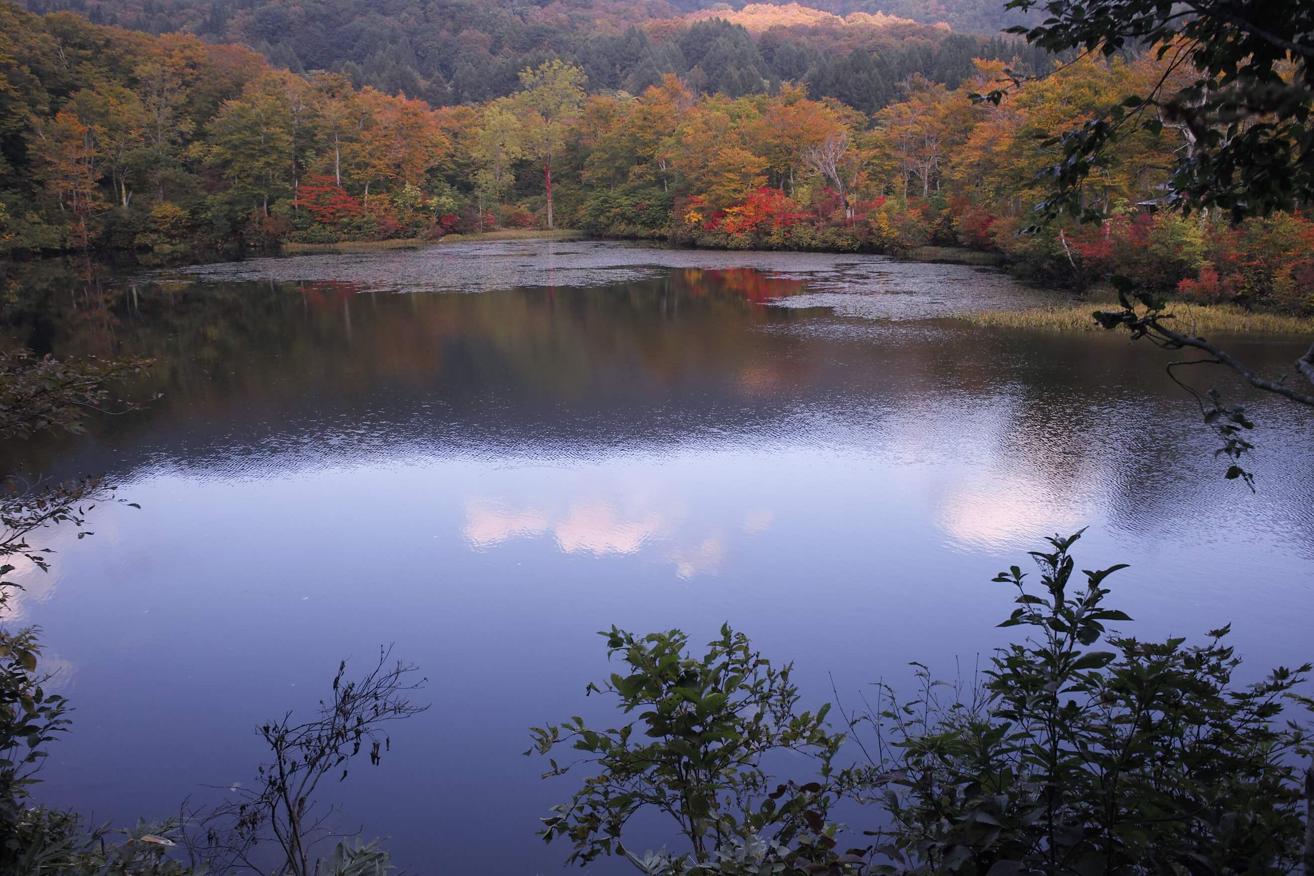 小見川 名水の由来