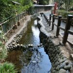 お鷹の道 ・ 真姿の池湧水群 - 東京都国分寺市西元町