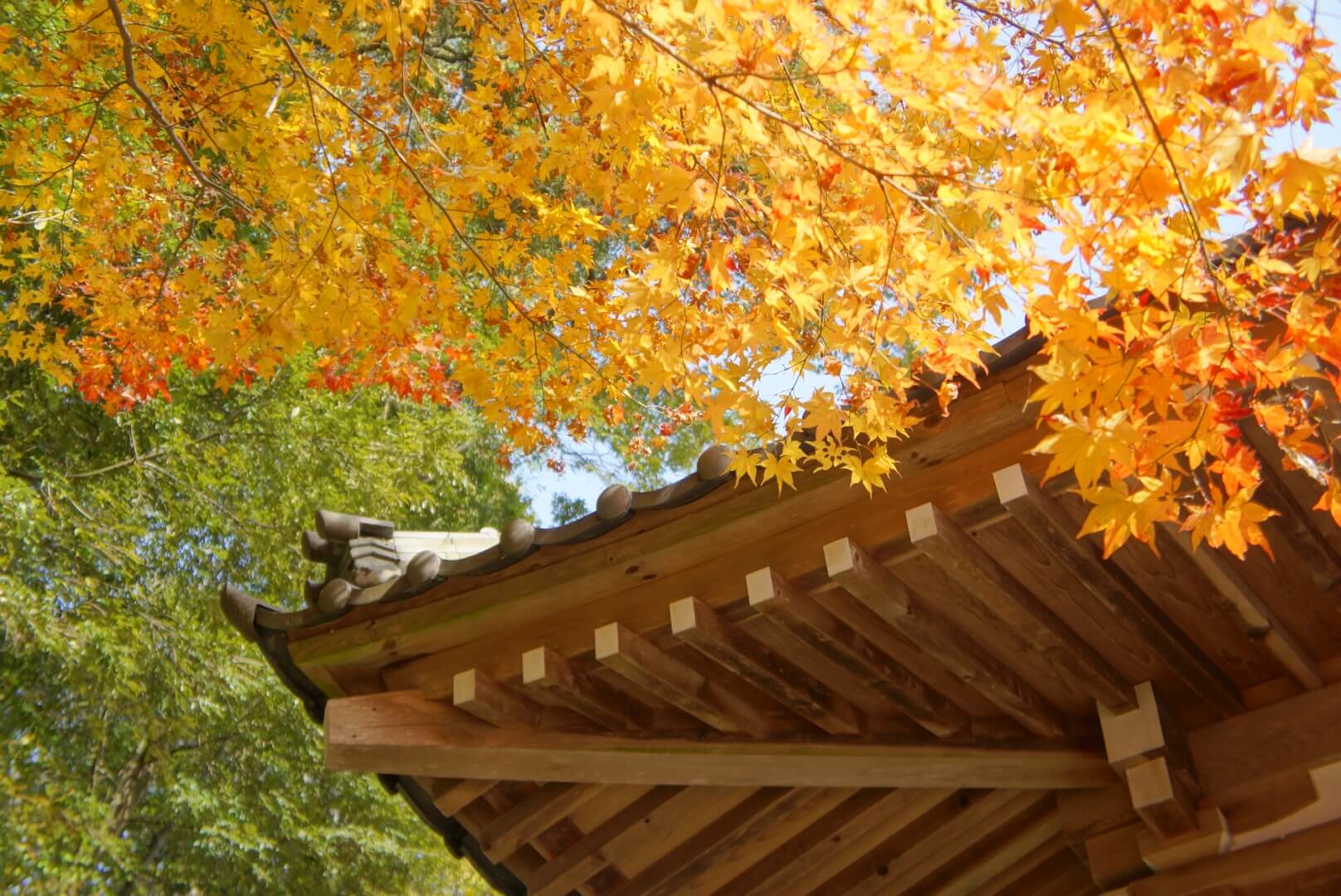 離宮の水-採水地周辺の観光地