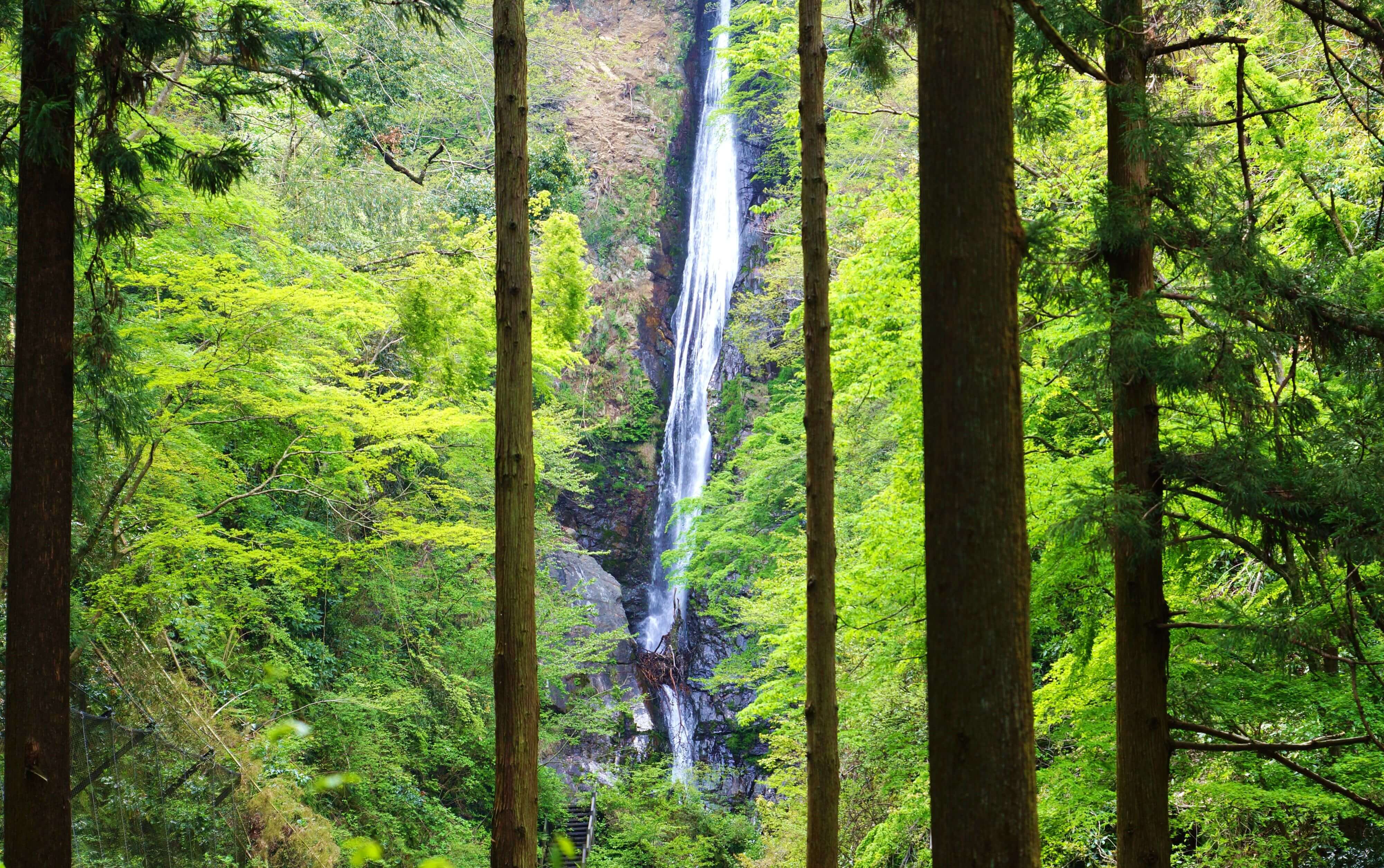 洒水の滝・滝沢川 名水の由来