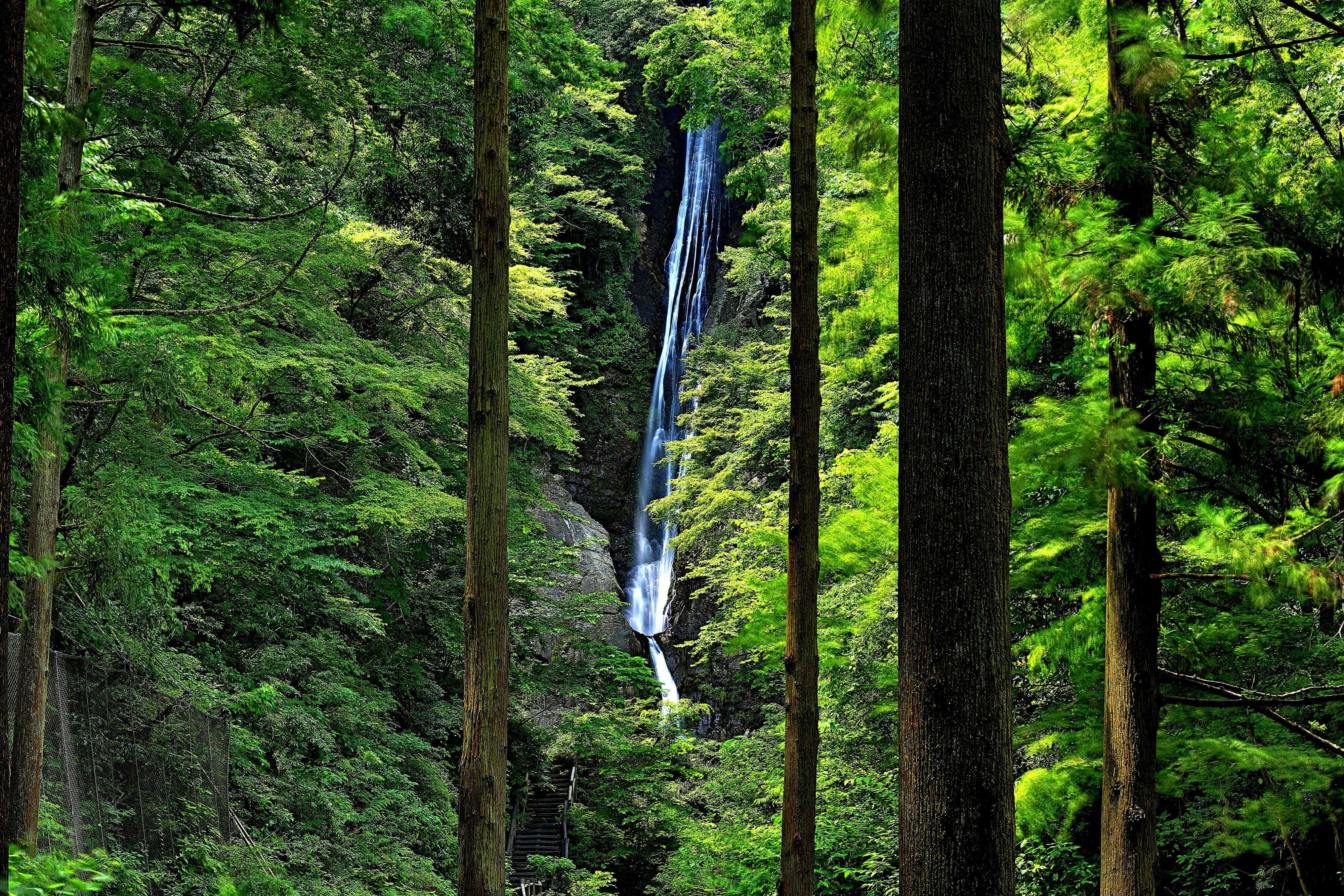 洒水の滝・滝沢川