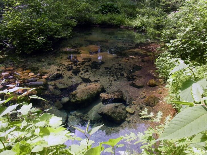 塩釜の冷泉-ミネラル含有量と味わい