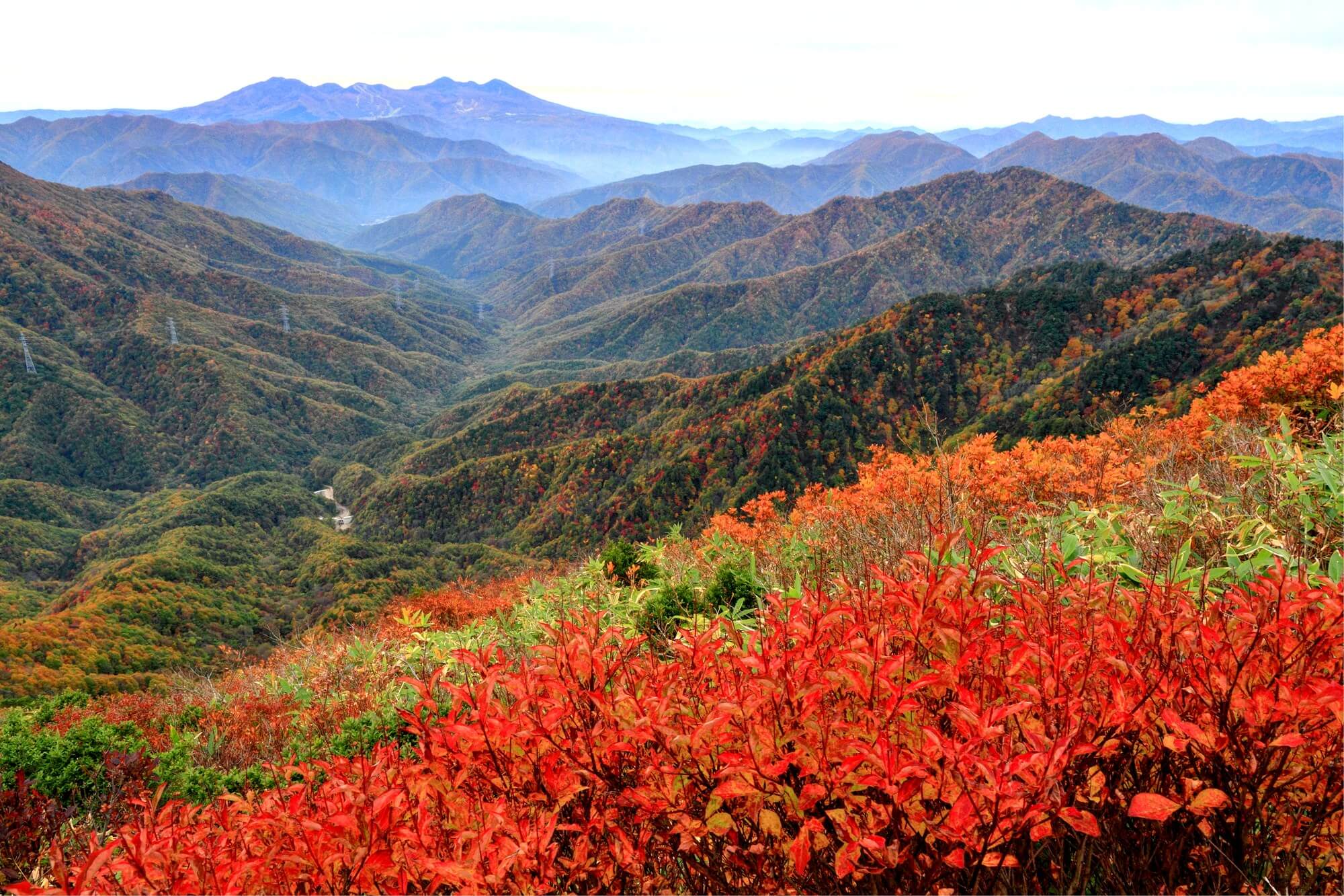 尚仁沢湧水山麓