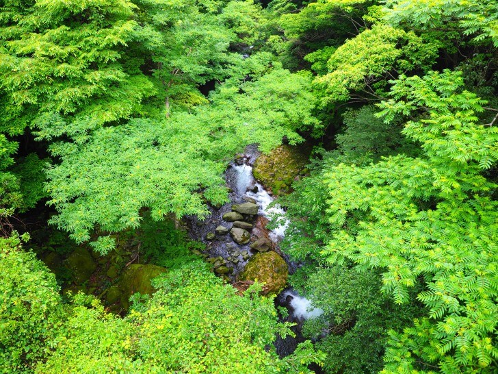 轟渓流-採水地周辺の観光地