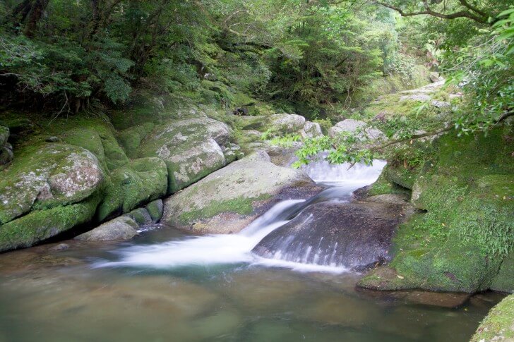 屋久島宮之浦岳流水-ミネラル含有量と味わい