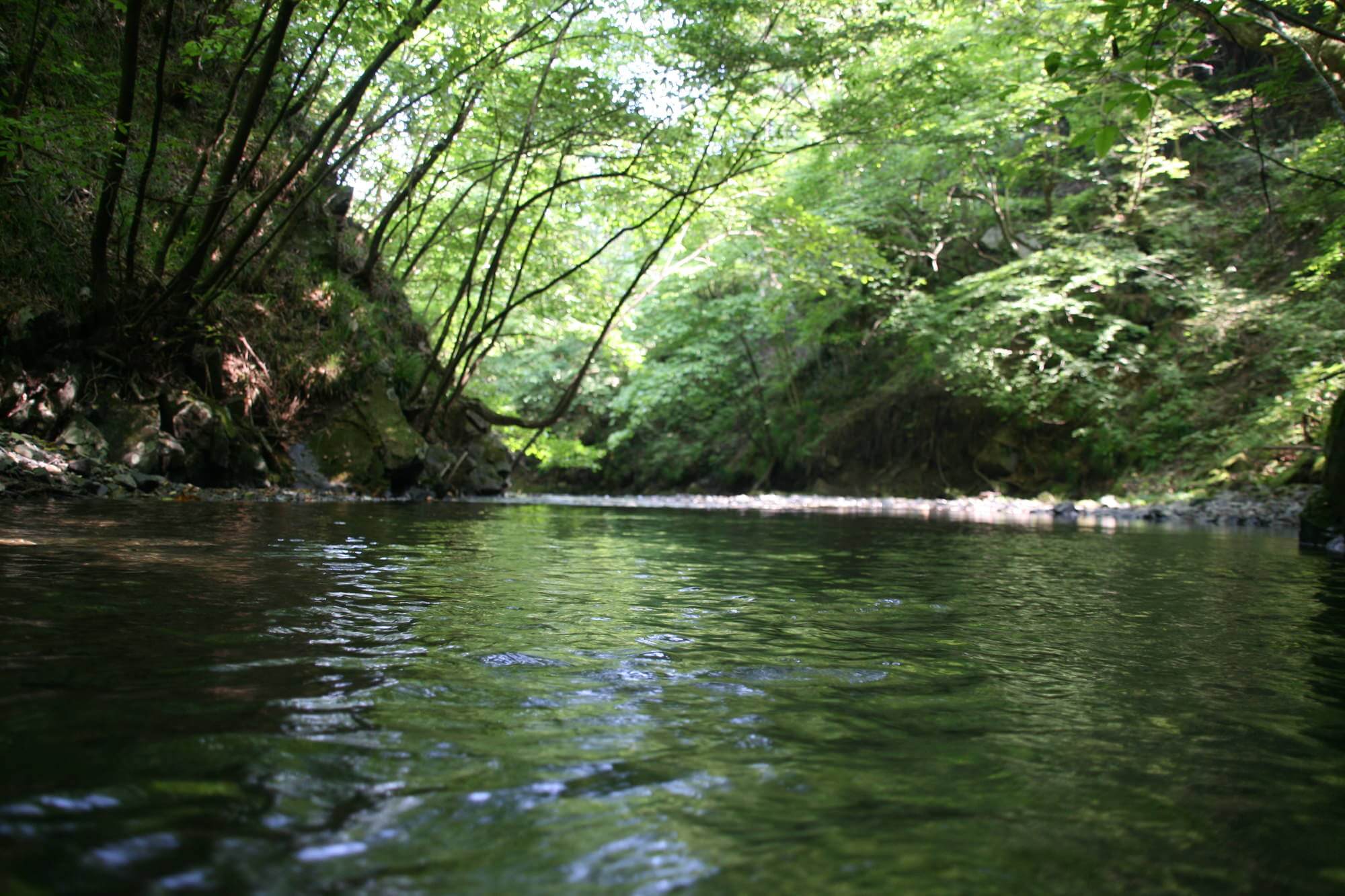 八溝川湧水群 - 城県久慈郡大子町上野宮