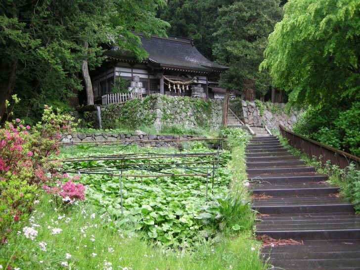 八ヶ岳南麓高原湧水群-ミネラル含有量と味わい