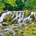 羊蹄のふきだし湧水 - 海道虻田郡京極町