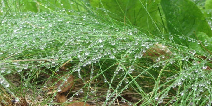 rain-201864_1280-e1395622643694