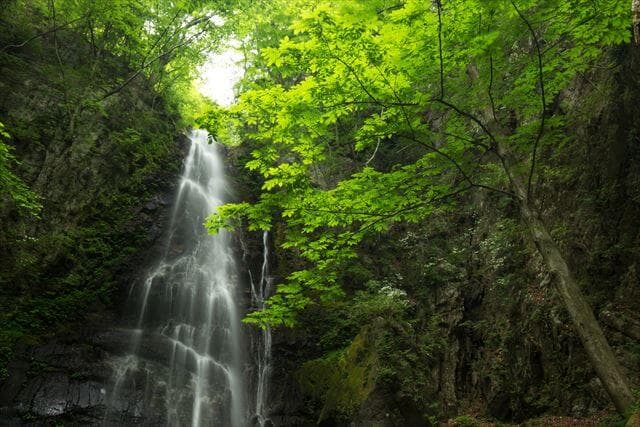 天然水がおいしい三つの理由