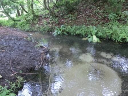 各都道府県の取り組み