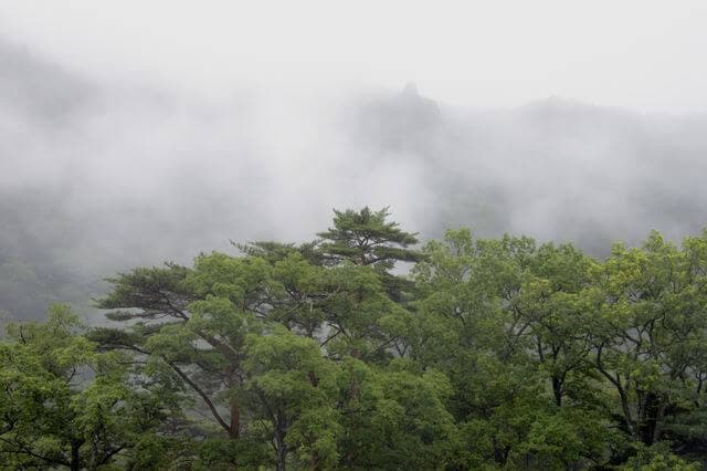 雨が降る山